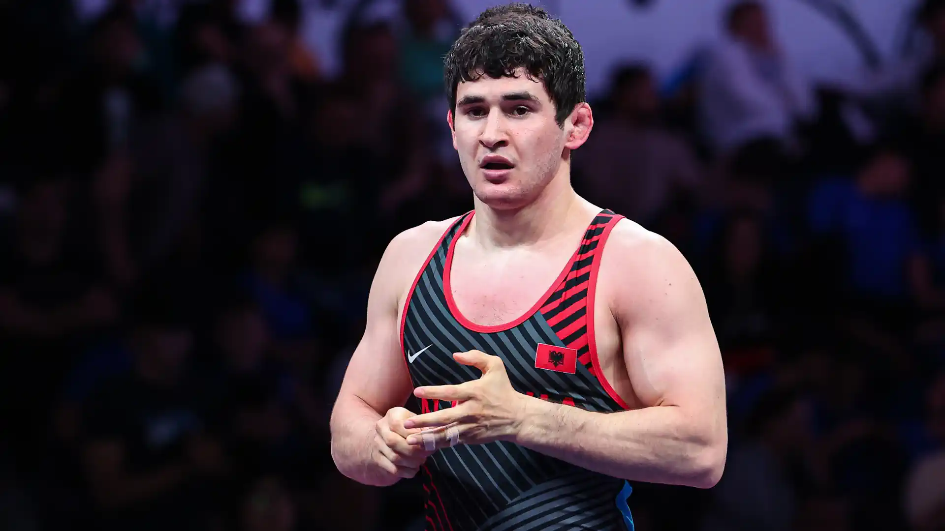 Semifinal pairs of the third day of the World Olympic license tournament in freestyle wrestling