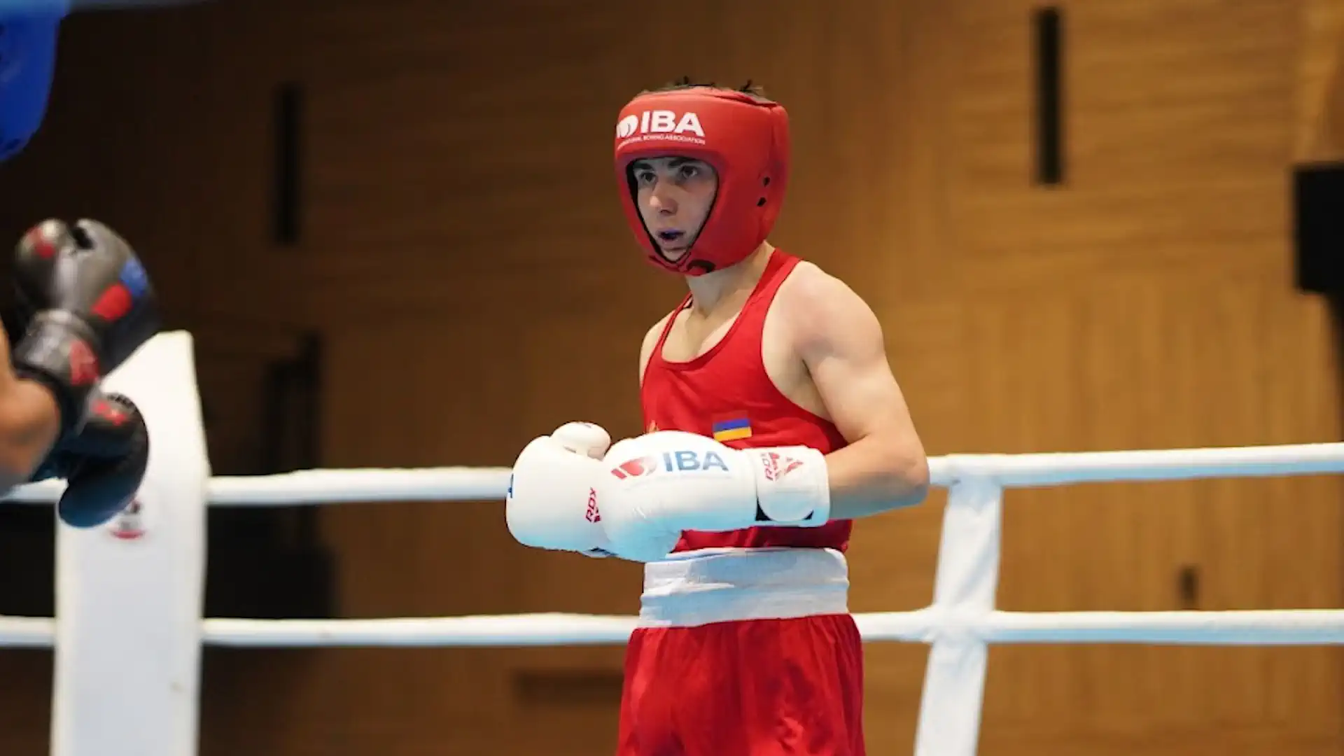 European Boxing Championship 2024 (U16) Finals. Live Broadcast