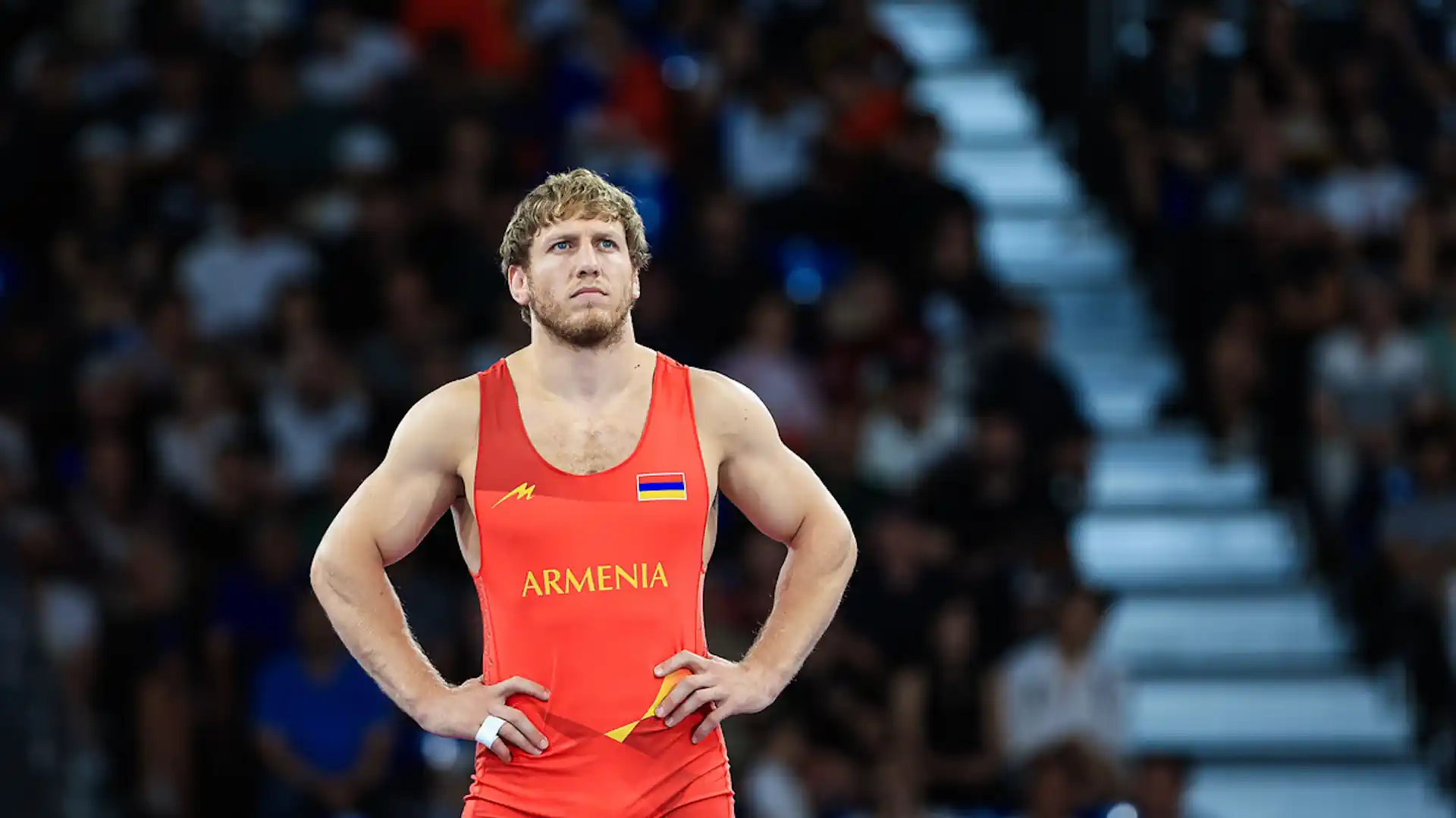 Artur Aleksanyan and the Armenian Wrestling Federation appealed against the judges in the Olympic final