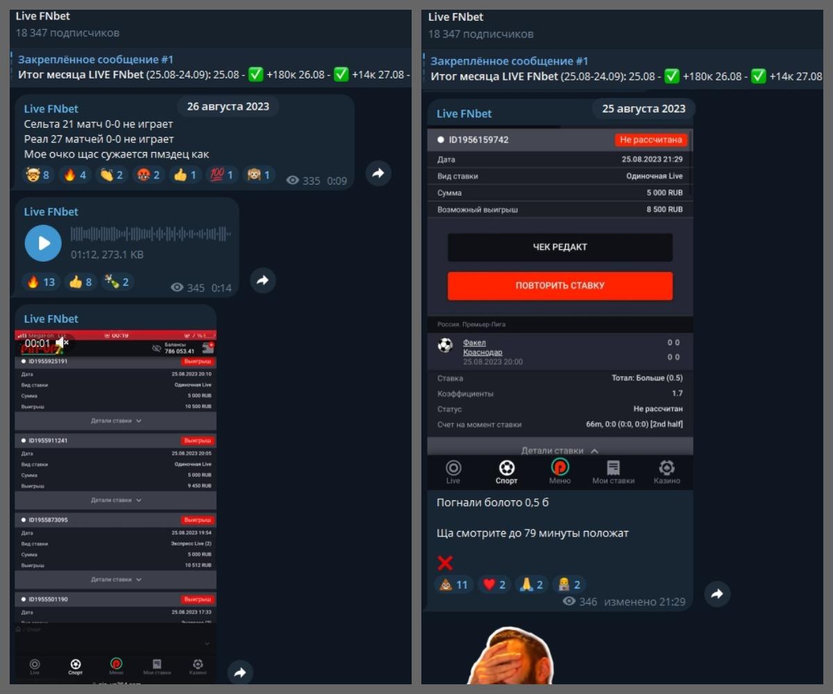live fnbet отзывы телеграмм