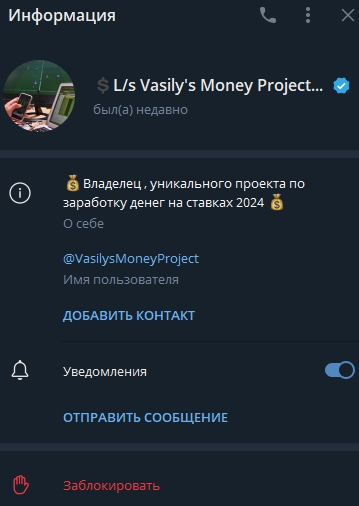 vasilysmoneyproject