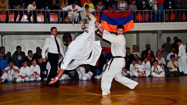 Юбилейный ЧЕ по каратэ EKF стартует в Ереване 7 мая