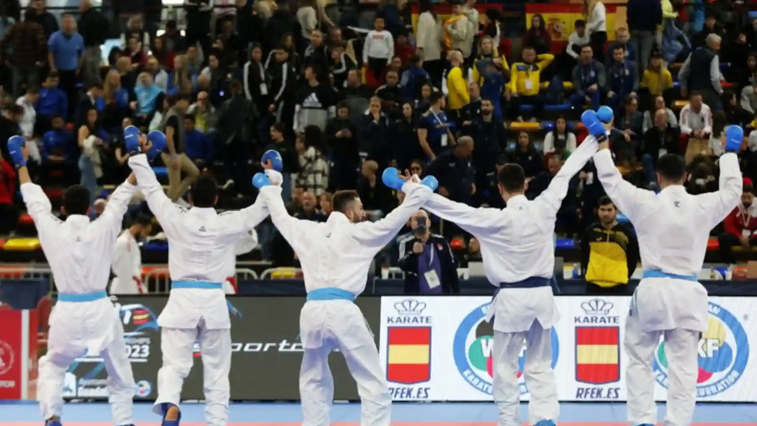Сборная Армении победила Германию в командном первенстве по каратэ