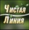 Чистая Линия ставки