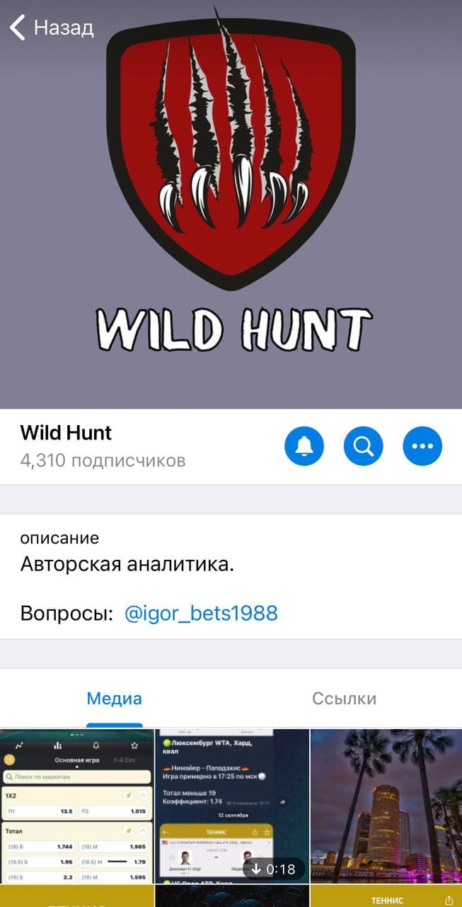 Вайлд Хант Вайлд Хант