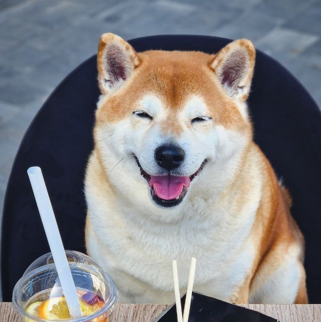 Сибуин договорняк