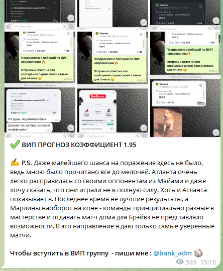 Отчет по вип-прогнозу