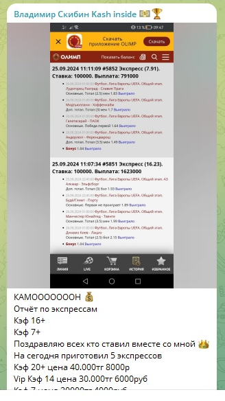 Отчет по экспрессам