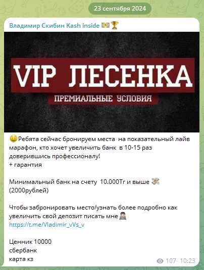 Вип-лесенка