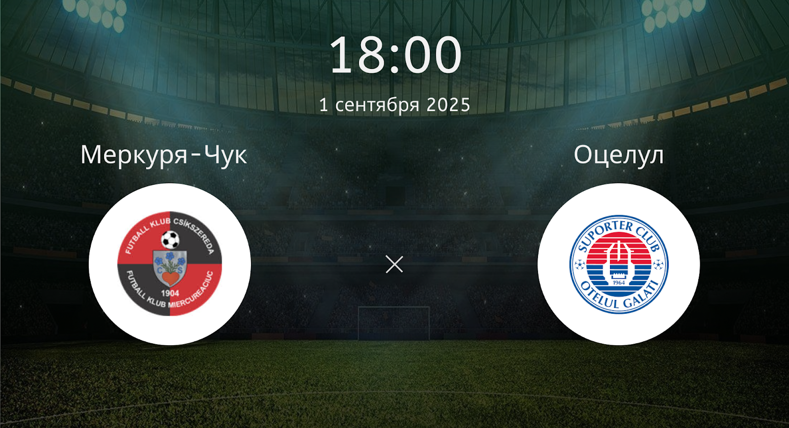 Меркуря-чук - Оцелул