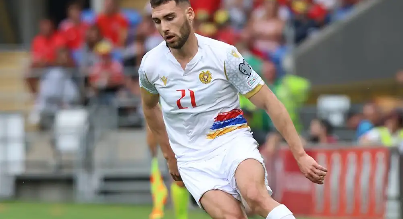 Тикнизян в заявке на Ирландию