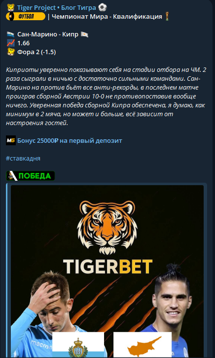 отзывы Тигер Проджект