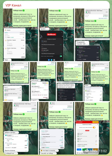 Отчет по платному экспрессу