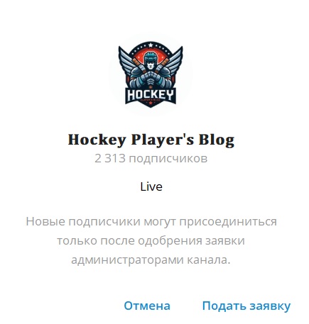 Hockey Player s Blog отзывы