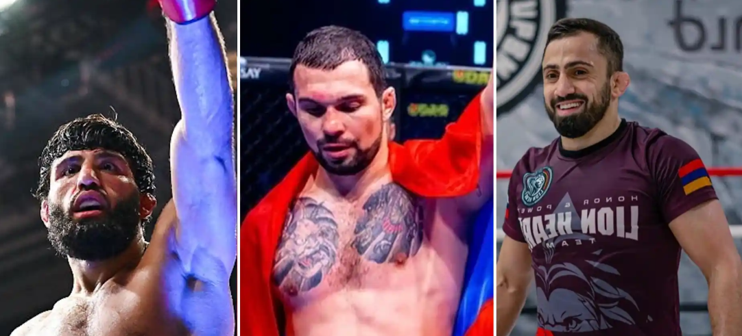 Армянские бойцы MMA