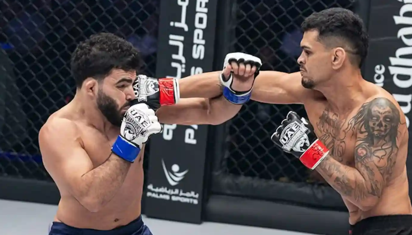 Итоги турнира UAE Warriors 67