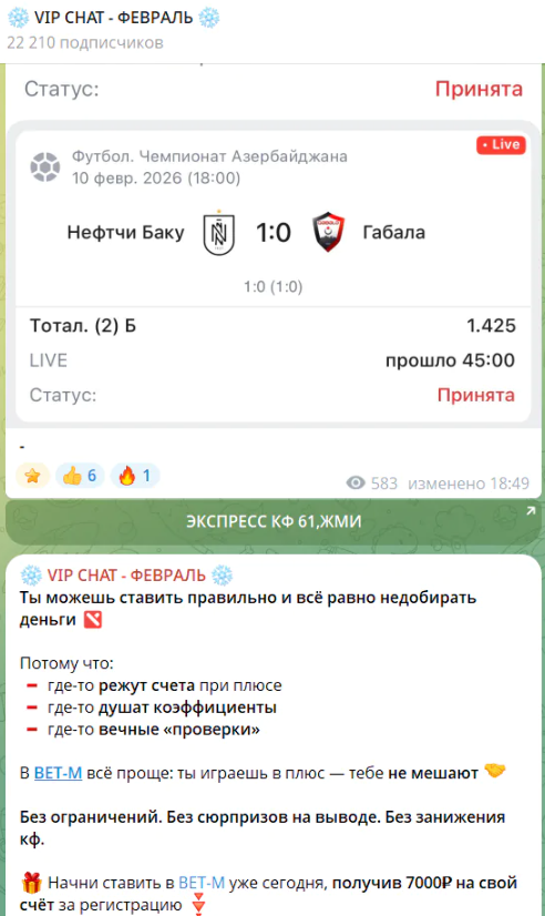 Vip Chat Fevral отзывы