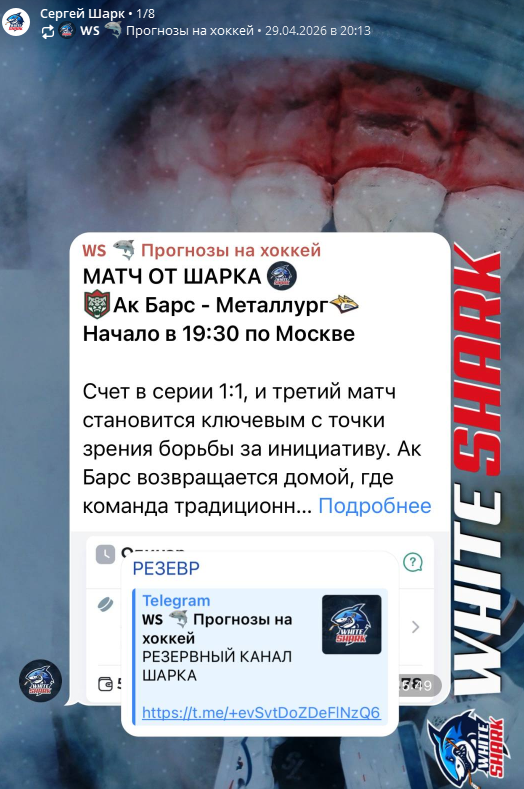 Вайт Шарк