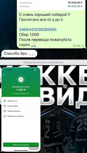 хоккей все видит каппер