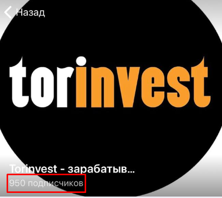 torinvest отзывы